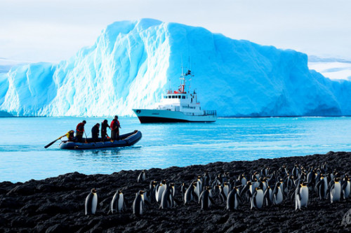 Croisière en Antarctique : l’aventure en petit bateau vers le continent blanc